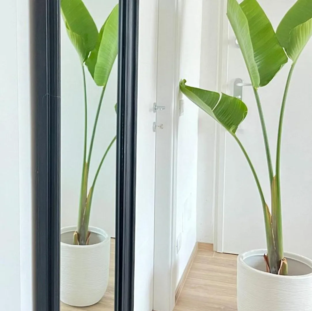 Elegant Penthouse Near Beach Bari